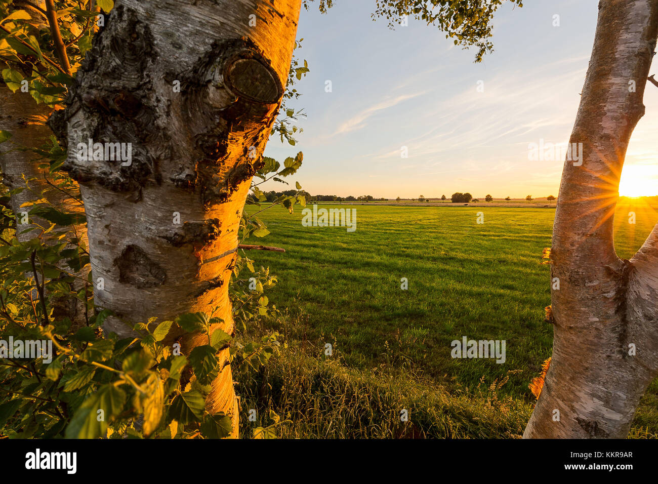 Un tramonto vicino tra wiesmoor e marcardsmoor in Frisia orientale Foto Stock