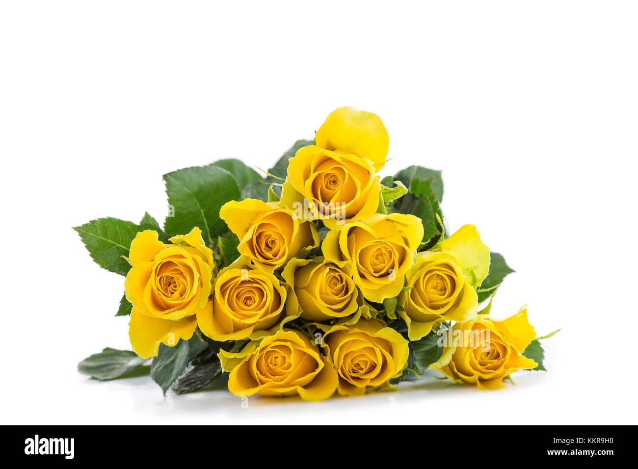 Un classico bouquet di rose giallo orizzontale, contro backgroundcopy bianco-SACE Foto Stock