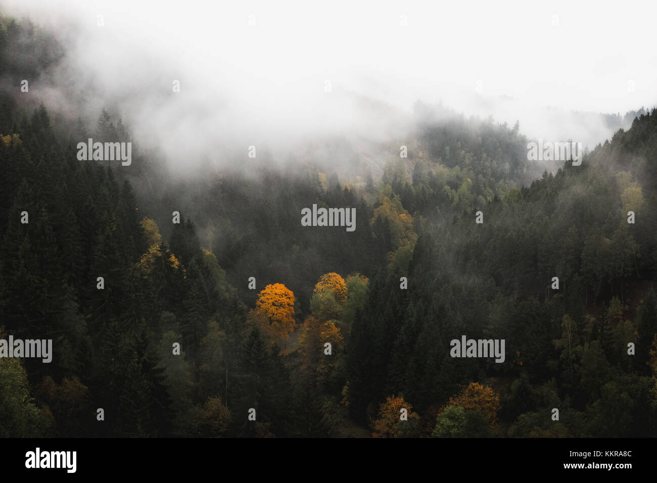 L'Harz è la catena montuosa più alta della Germania settentrionale e il suo terreno accidentato si estende attraverso parti della bassa Sassonia, della Sassonia-Anhalt e della Turingia. Il nome Harz deriva dalla parola tedesca medio-alta Hardt o Hart (foresta di montagna) Foto Stock