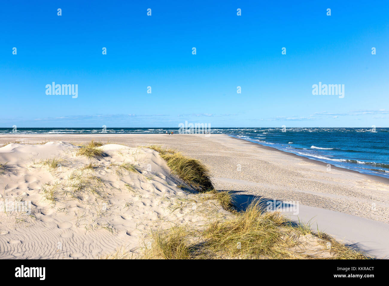 La costa di Skagen, il punto più settentrionale della Danimarca. Il punto in cui il mare del Nord e il mar baltico si uniscono. Foto Stock