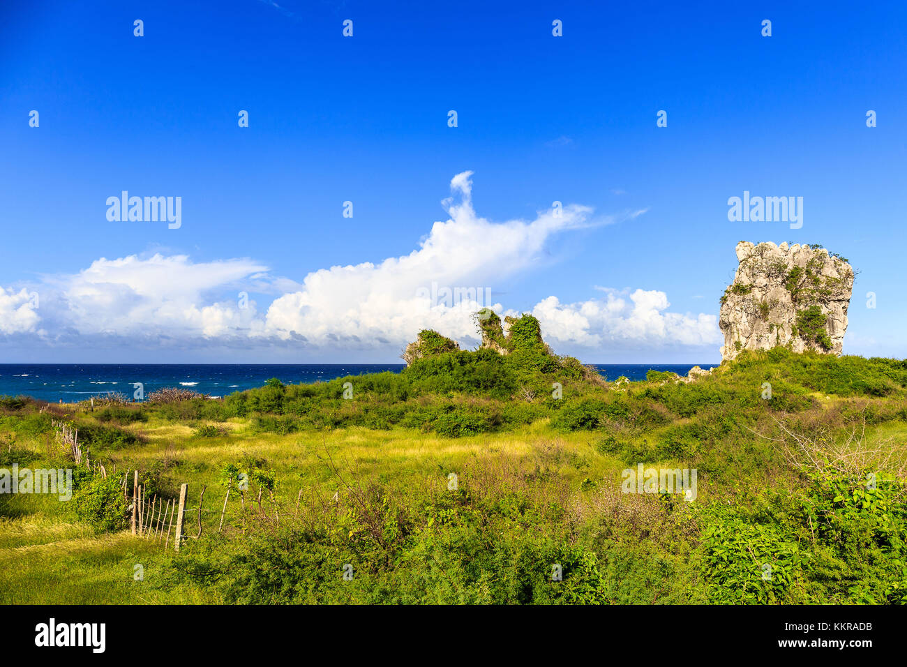 La costa di Playa Jibacoa sul sito del nord di Cuba Foto Stock