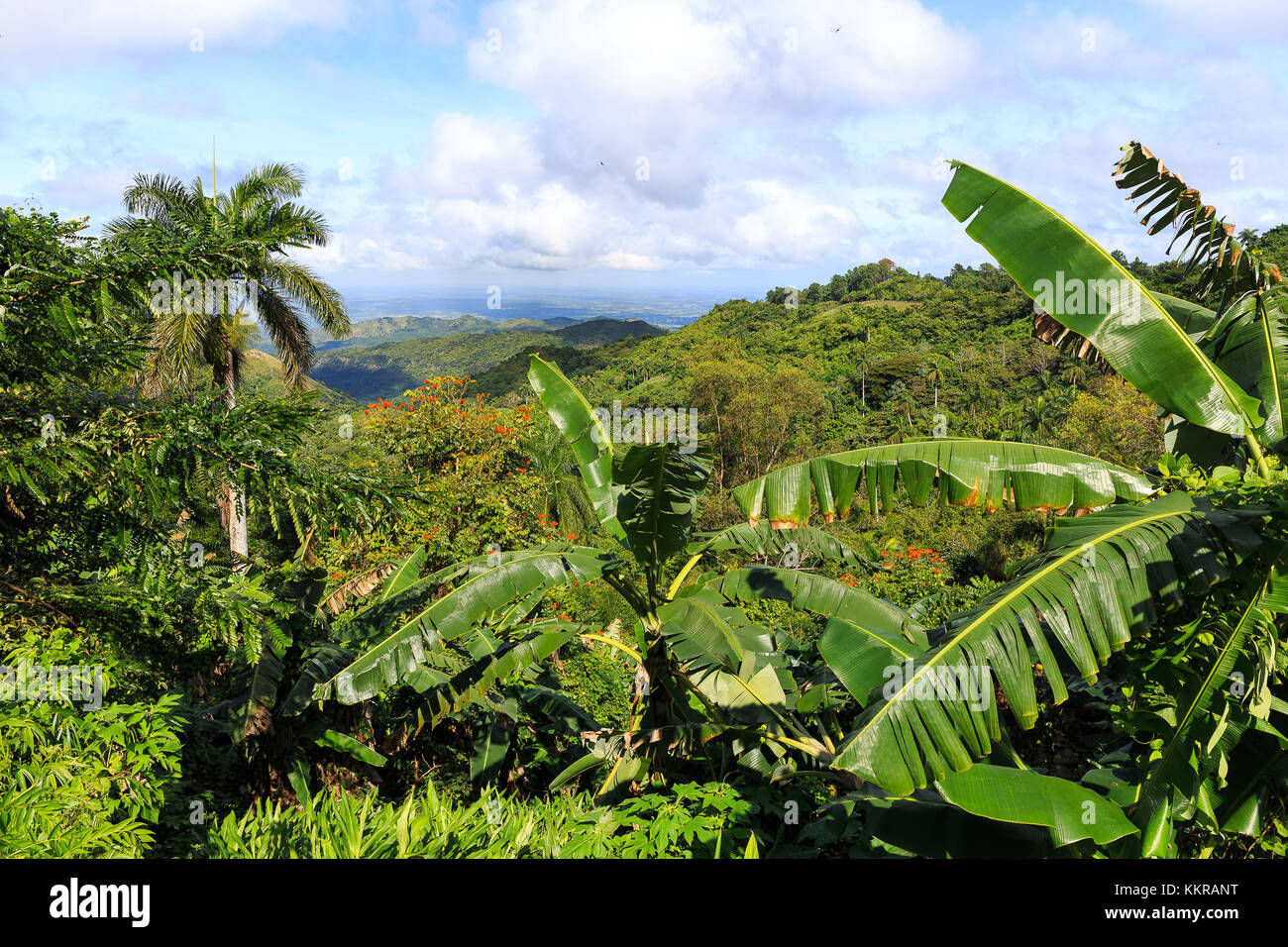 Tipico di montagna paesaggio vicino cumanayagua, Cuba. La città più vicina è a Cienfuegos. Foto Stock