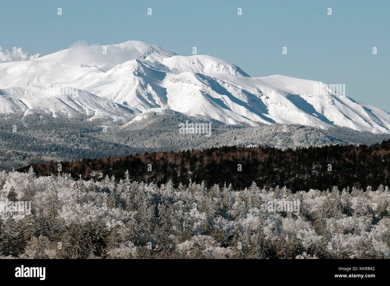 Paesaggio di inverno di Hokkaido, Giappone Foto Stock