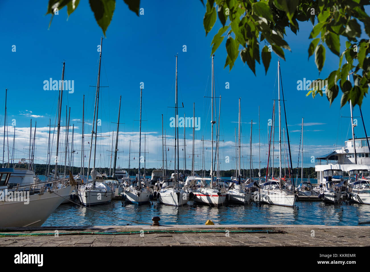 Croazia, Istria, Pola, Porto Foto Stock
