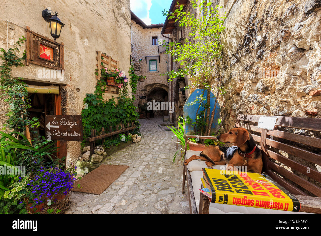 Il cane si appoggia su un banco all'uscita di un negozio di artigianato a santo Stefano di Sessanio, Abruzzo, Italia. Foto Stock