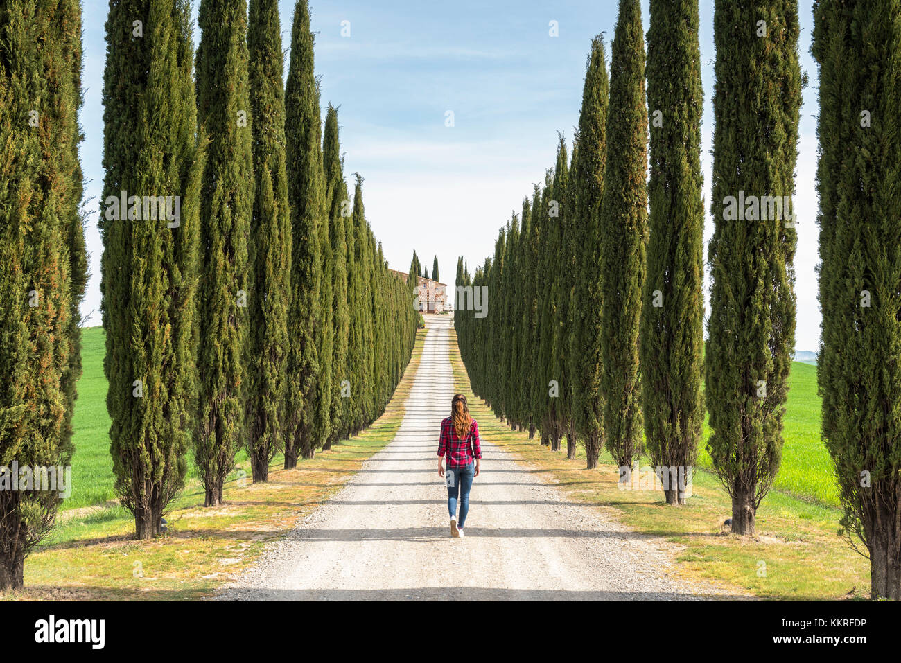 Castiglion d'Orcia, Val d'Orcia, Siena, Toscana, Italia. Una giovane donna in abiti casual è camminare lungo una strada di campagna Foto Stock