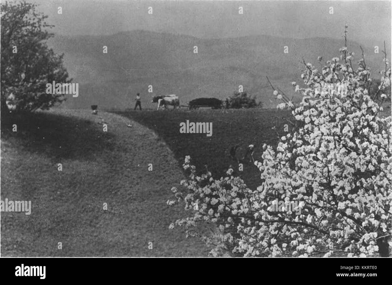 Pomlad 1939 è una pubblicazione storica jugoslava, notevole per il suo contributo alla cultura e alle arti alla fine degli anni '1930 Riflette il clima intellettuale del periodo e l'atmosfera politica e sociale della Jugoslavia pre-guerra. Foto Stock