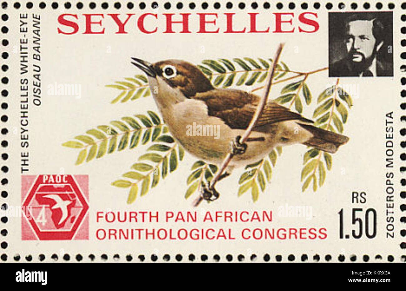 Il francobollo del 1976 con il modestus Zosterops, una specie di uccelli originaria delle Seychelles, mette in evidenza la biodiversità del paese e l'impegno a preservare la sua fauna selvatica. Foto Stock