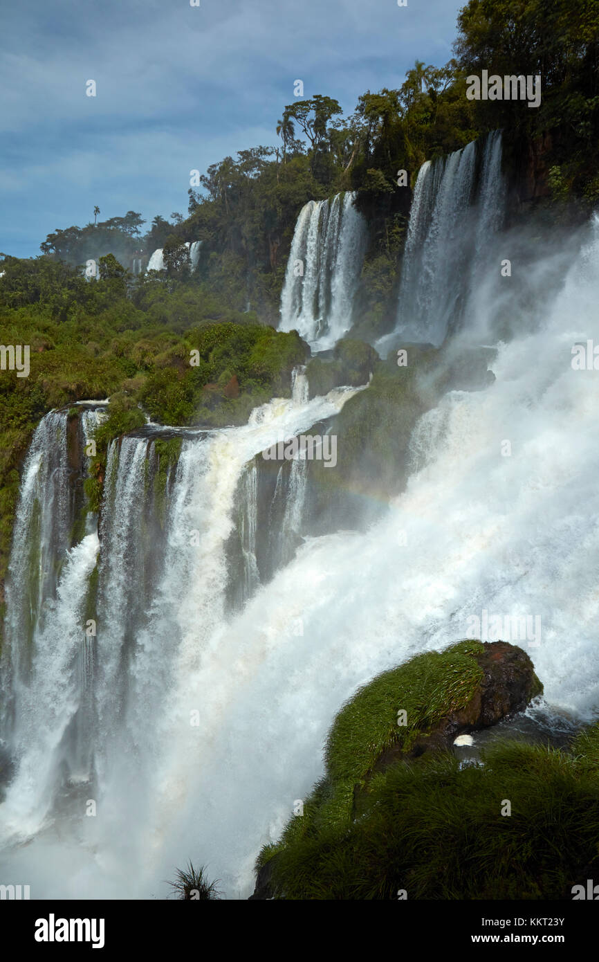 Cascate di Iguassù, Argentina, Sud America Foto Stock