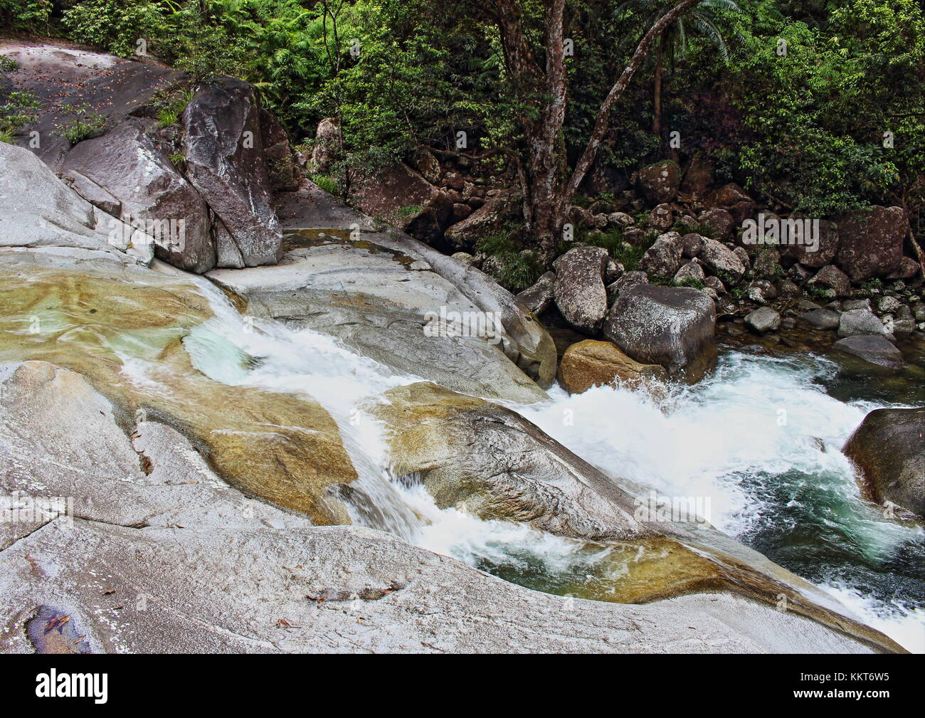 Josephine falls - livelli in cascata a cascata su josephine creek alla base del monte bartle frere wooroonooran nel parco nazionale di 75km a sud di Cairns Foto Stock
