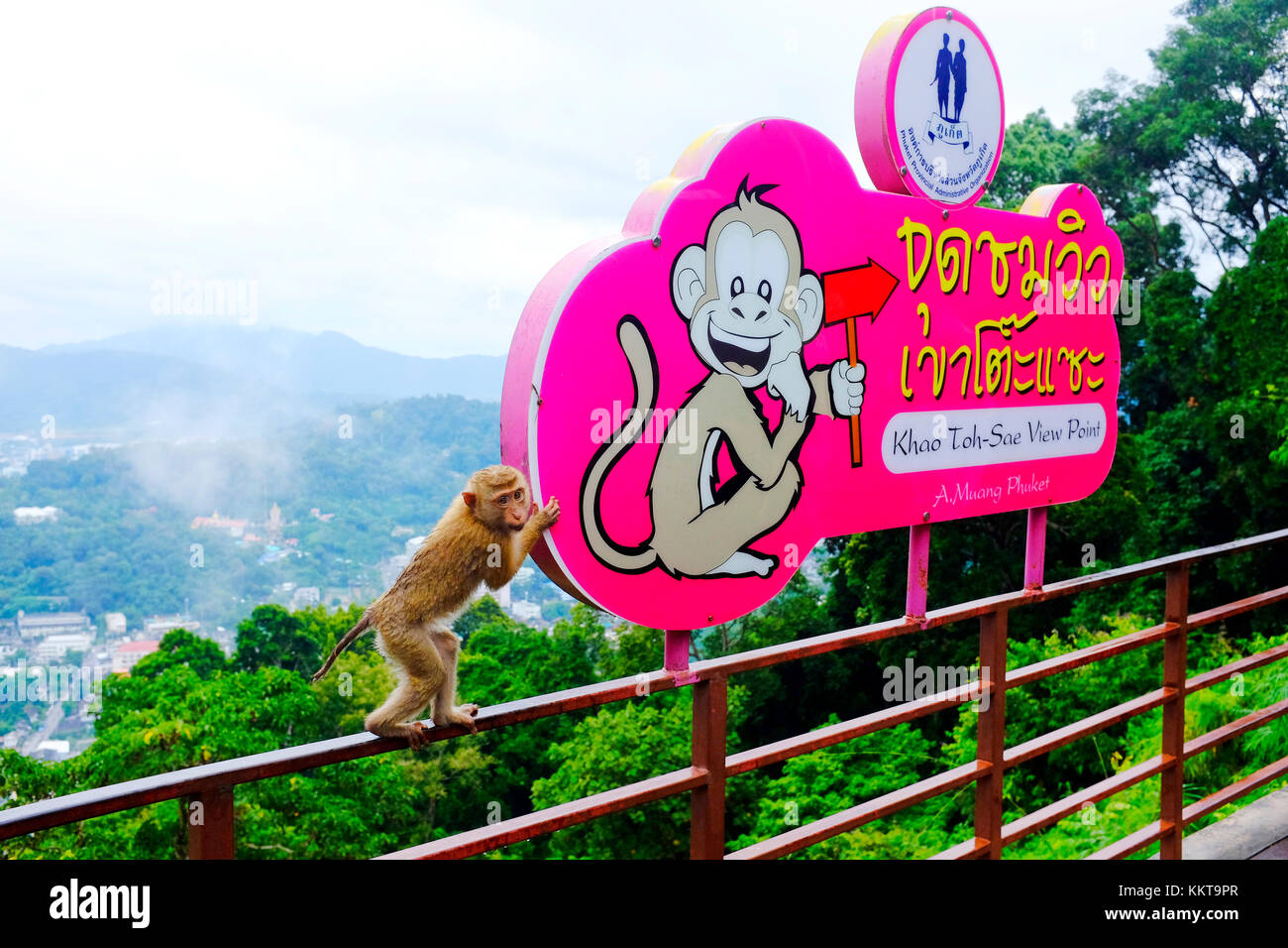 Punto di osservazione della collina delle scimmie, città di Phuket, Phuket, Thailandia Foto Stock