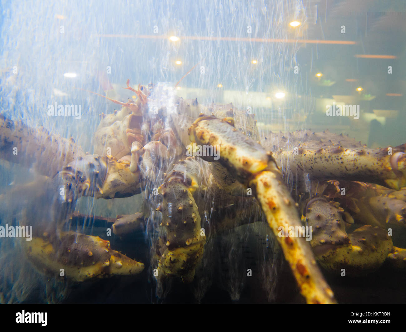 Il granchio in in acquario sul mercato del pesce. Frutti di mare. Foto Stock