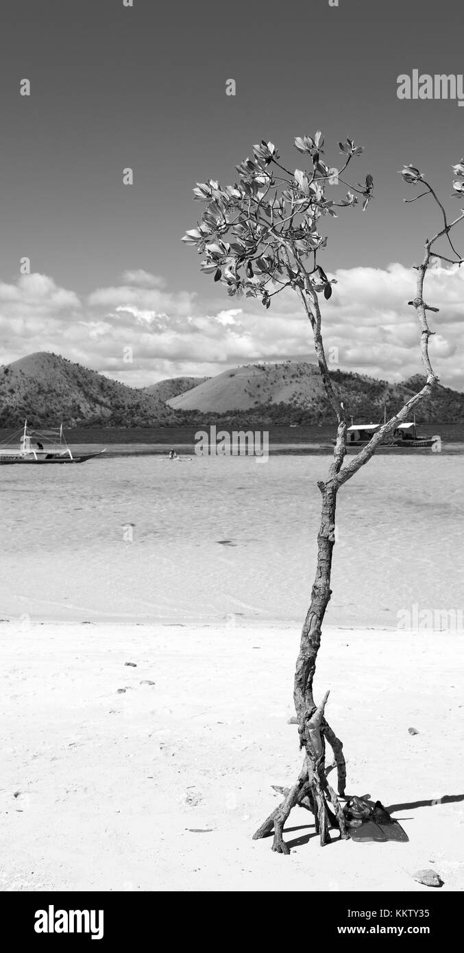 Nelle Filippine isola bella cosatline tree hill e imbarcazione per turisti Foto Stock