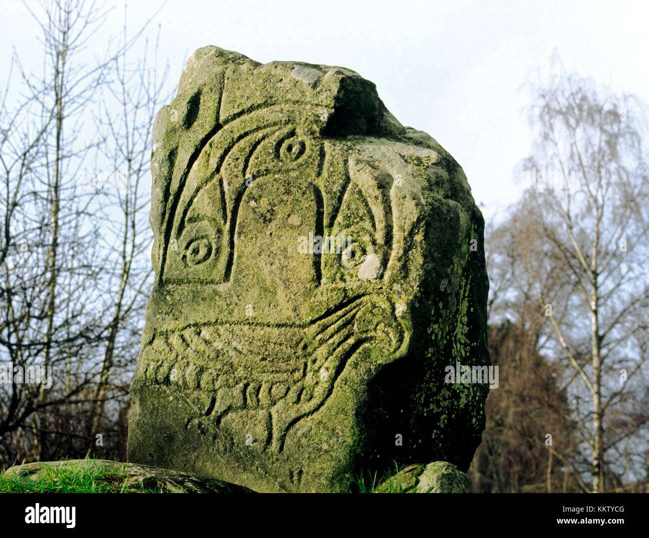 Eagle bird motif scolpito sul monumento pictish noto come EAGLE pietra a Strathpeffer, cromarty, regione delle Highlands, Scozia. Foto Stock
