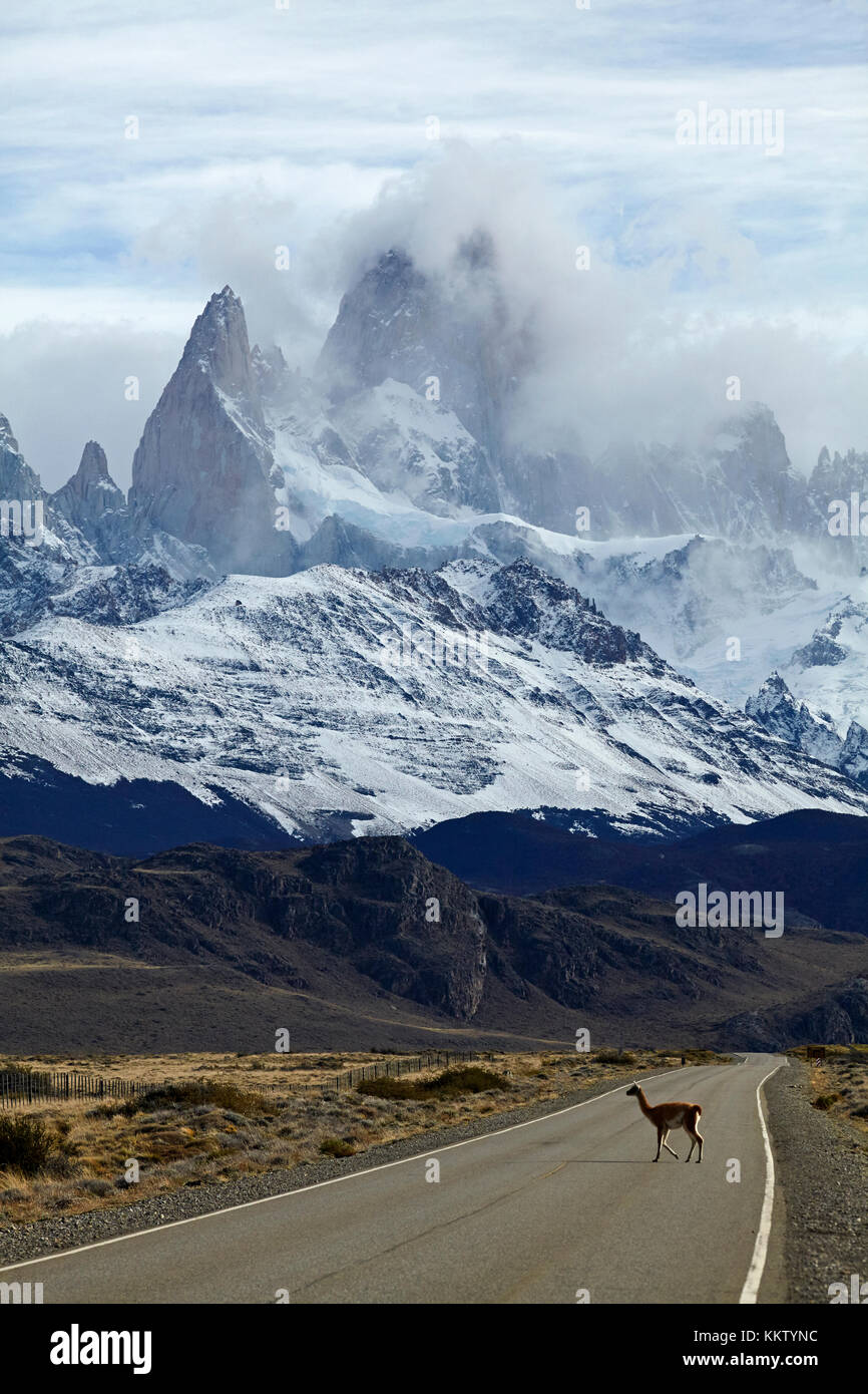 Mount Fitz Roy, Parque Nacional Los Glaciares (Patrimonio dell'Umanità), e guanaco che attraversa la strada vicino a El Chalten, Patagonia, Argentina, Sud America Foto Stock