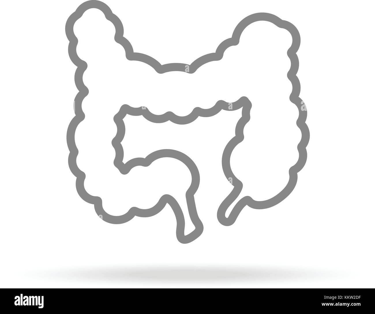 Intestino umano icona nella trendy linea sottile isolato in stile su sfondo bianco. medical simbolo per il tuo design, applicazioni, logo, ui. illustrazione vettoriale. Illustrazione Vettoriale