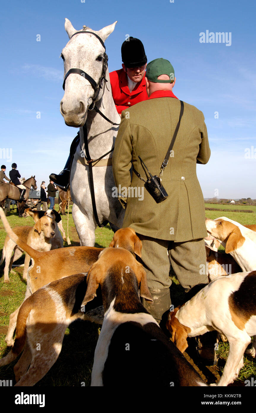 Un huntsman indossa una giacca rossa proteso verso il basso dal suo cavallo a parlare con il comandante della fox hounds circondato dai suoi cani da caccia preparando andare fuori Foto Stock