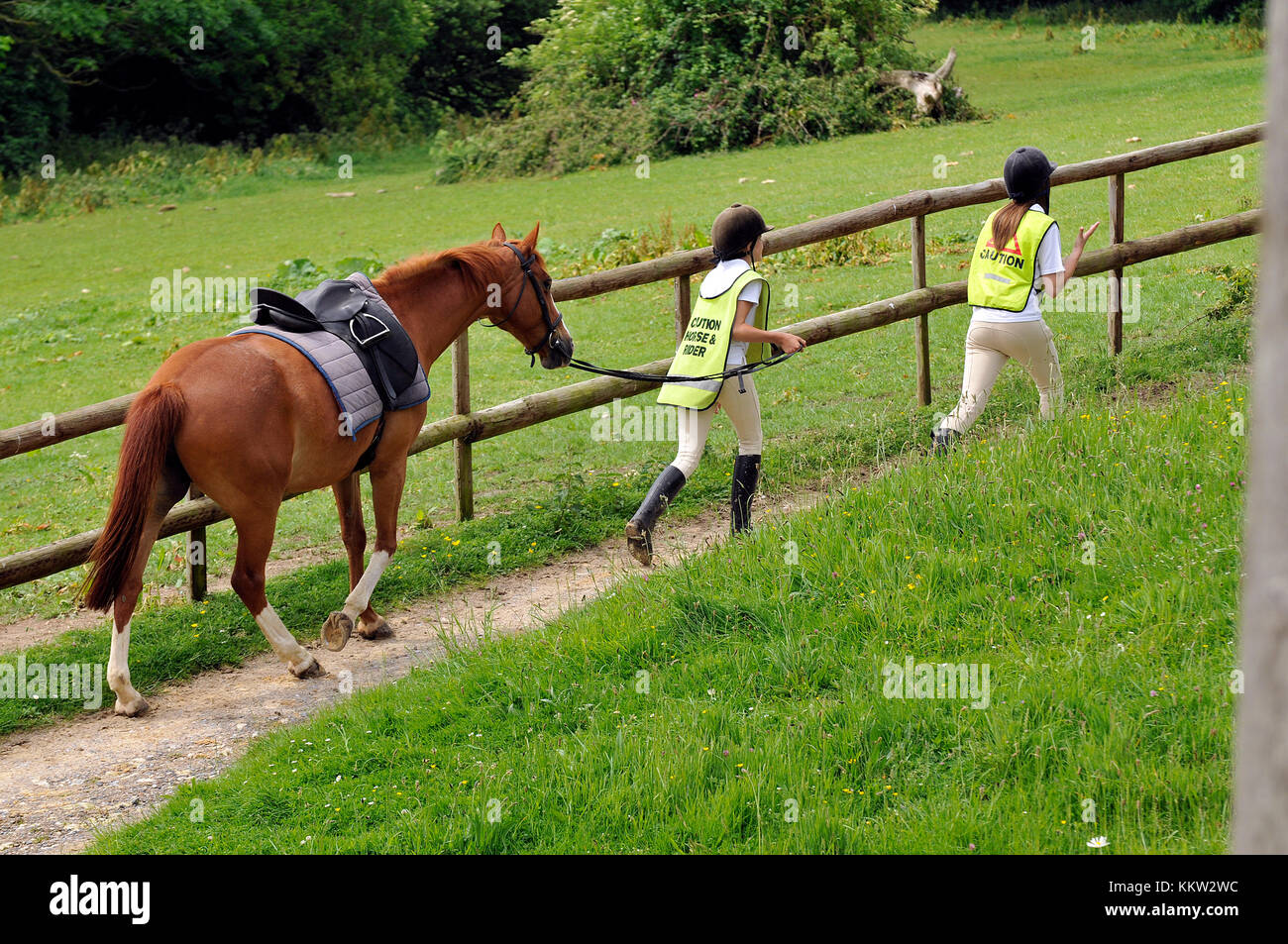 Due giovani donne o bambini che portano un pony lungo una strada di  campagna presso una scuola di equitazione. Hacking e cavalcare i pony e  cavalli. Scuole di formazione per piloti Foto