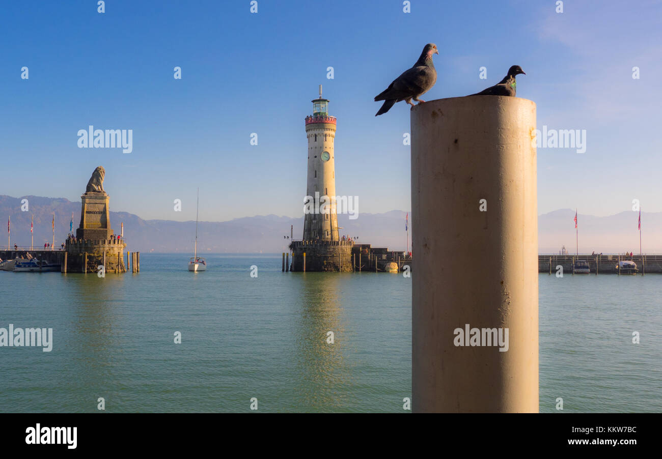 Piccioni seduti su un bollard a lindau Harbour Foto Stock
