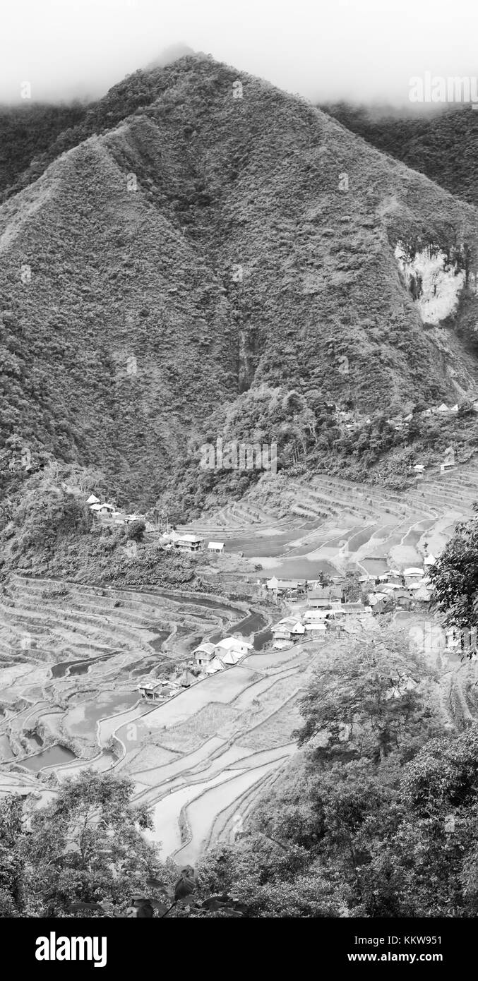 La sfocatura nelle Filippine terrazza campo per coultivation di riso di Banaue sito UNESCO Foto Stock