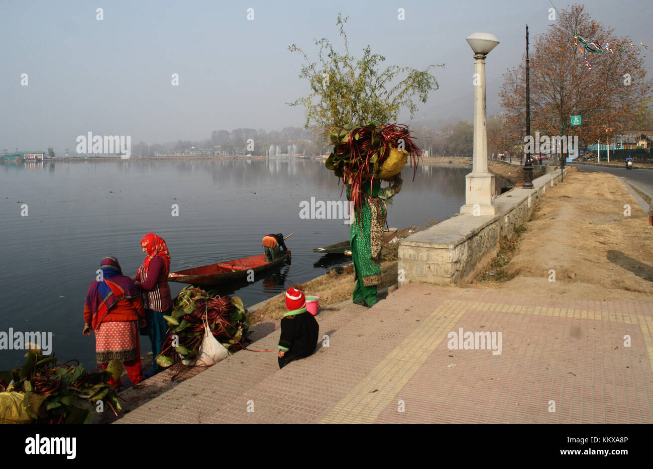 Srinagar, Kashmir. 2nd Dec, 2017. Le donne di Kashmiri trasportano l'erba umida rimossa dal lago per il bestiame sul lago dal. Credit: Sofi Suhail/Alamy Live News Foto Stock