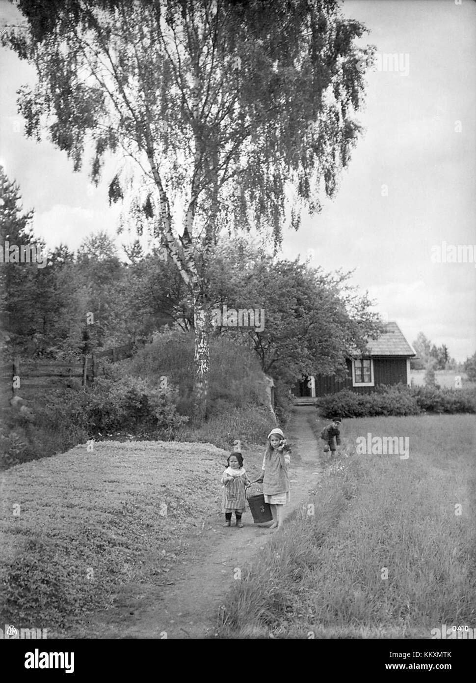 La fotografia "bambini su un sentiero, Svezia" cattura un momento di pace nella natura, mostrando un gruppo di bambini che camminano lungo un sentiero forestale in Svezia. Mette in evidenza la bellezza naturale e serena dei paesaggi svedesi. Foto Stock