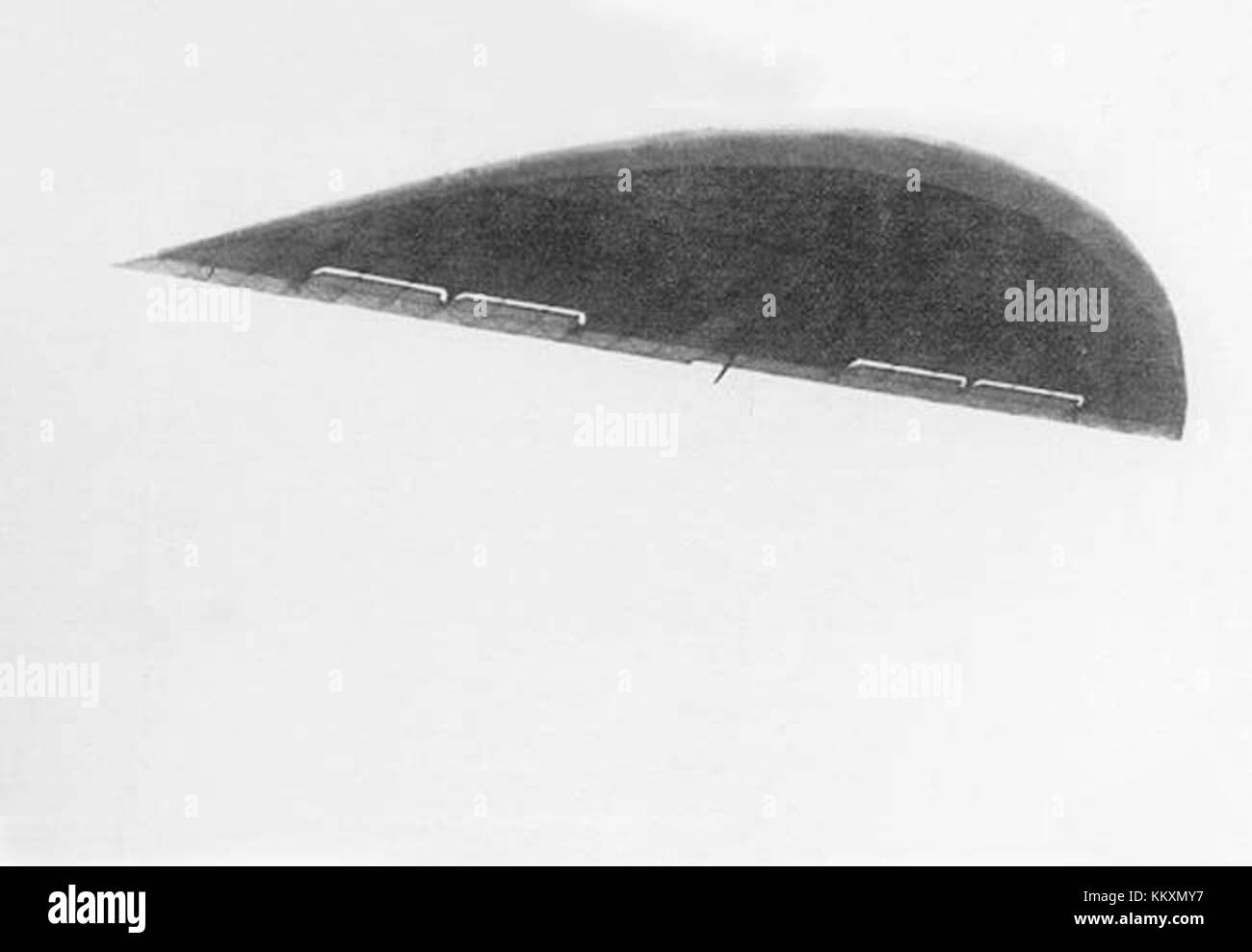 Fotografia del velivolo BICh-2 in volo, che ne illustra il design e le caratteristiche aerodinamiche. Foto Stock