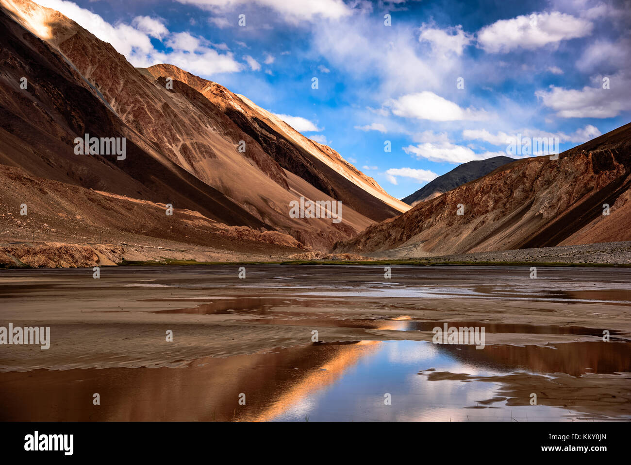 La bellezza del Ladakh, India Foto Stock