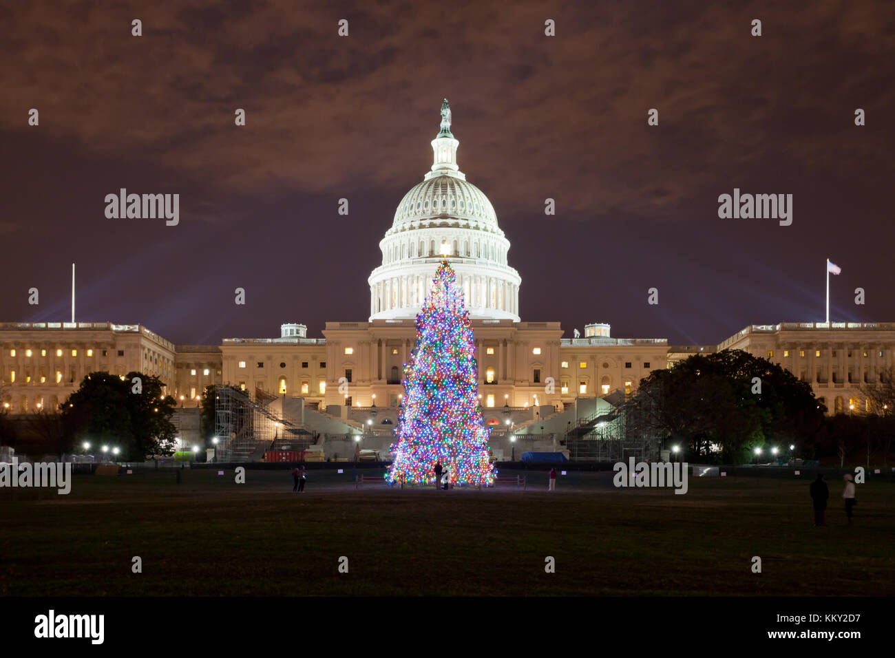 Albero Di Natale Washington.Albero Di Natale A Washington Dc Stati Uniti Usa Foto Stock Alamy