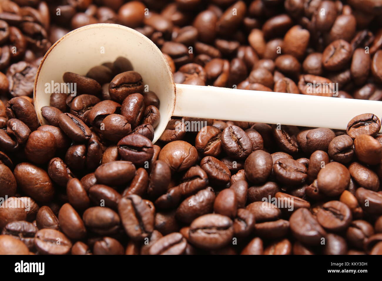 I chicchi di caffè con un bianco misurino. Foto Stock