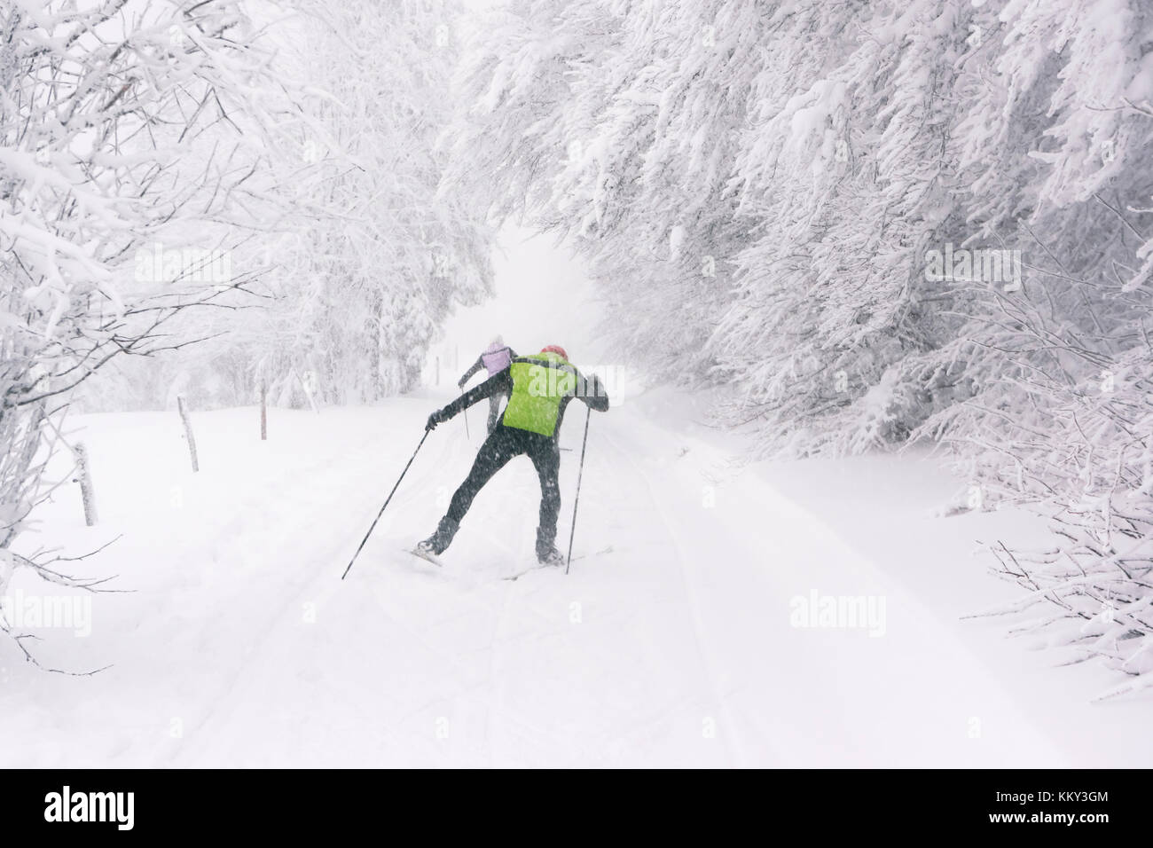 I fondisti la pratica in una foresta di montagna mentre nevica pesantemente, montagne Vosges in inverno, Francia. Foto Stock