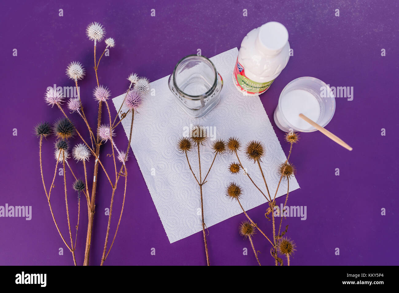 STILL Life, fai da te, cardo, colore gesso, utensili, Foto Stock
