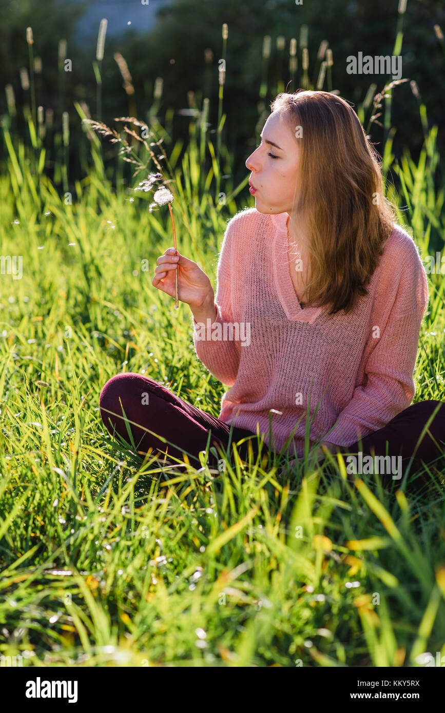 Giovane donna con blowball seduto in un prato, Foto Stock