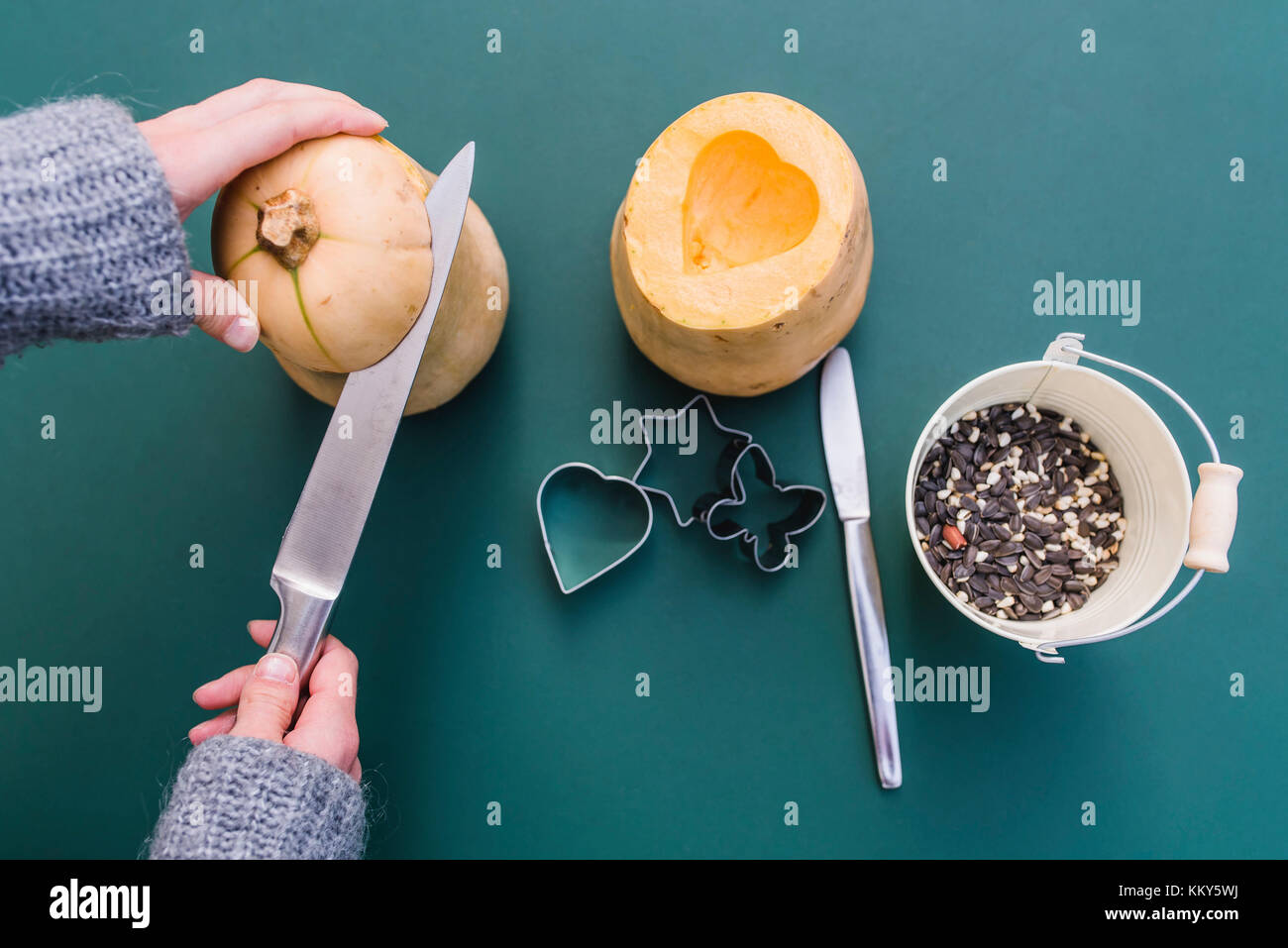 Donna, dettaglio, mani, zucca, semi di uccelli, sementi di uccelli, alimenti per uccelli, alimenti per uccelli, mangimi per uccelli, Foto Stock