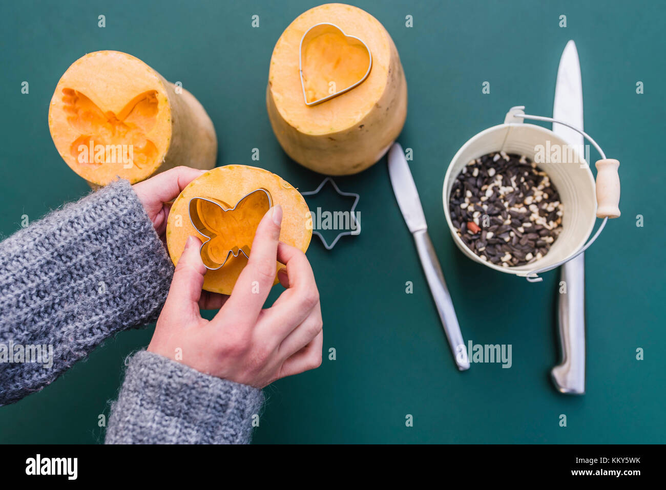 Donna, dettaglio, mani, zucca, semi di uccelli, sementi di uccelli, alimenti per uccelli, alimenti per uccelli, mangimi per uccelli, Foto Stock