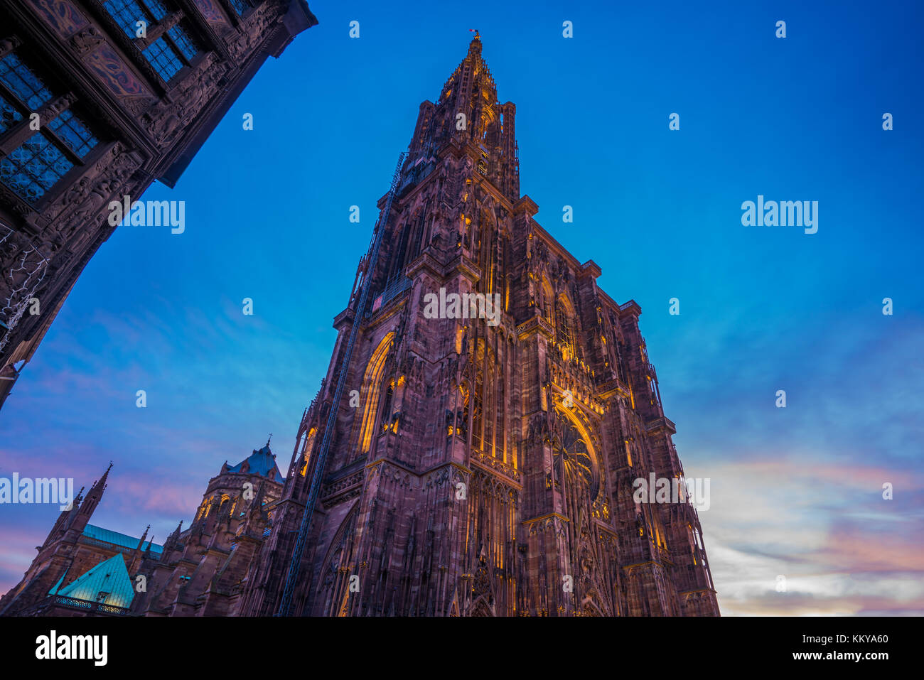 Vista della cattedrale di Strasburgo da terra. Alsace Francia Foto Stock