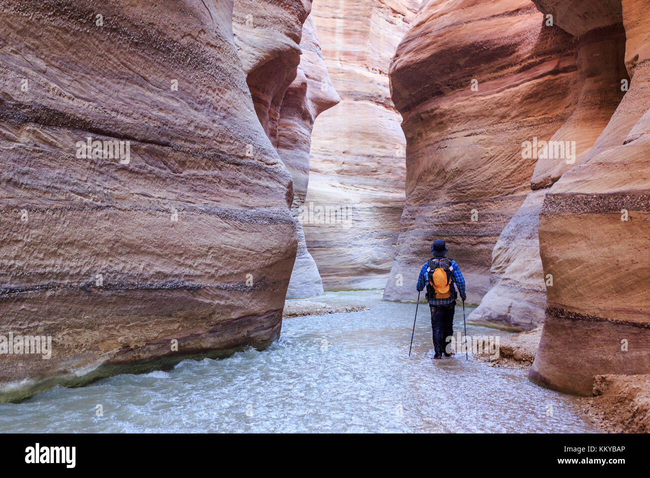 Percorso panoramico dell'acqua escursione a wadi hassa, Giordania, medio oriente Foto Stock