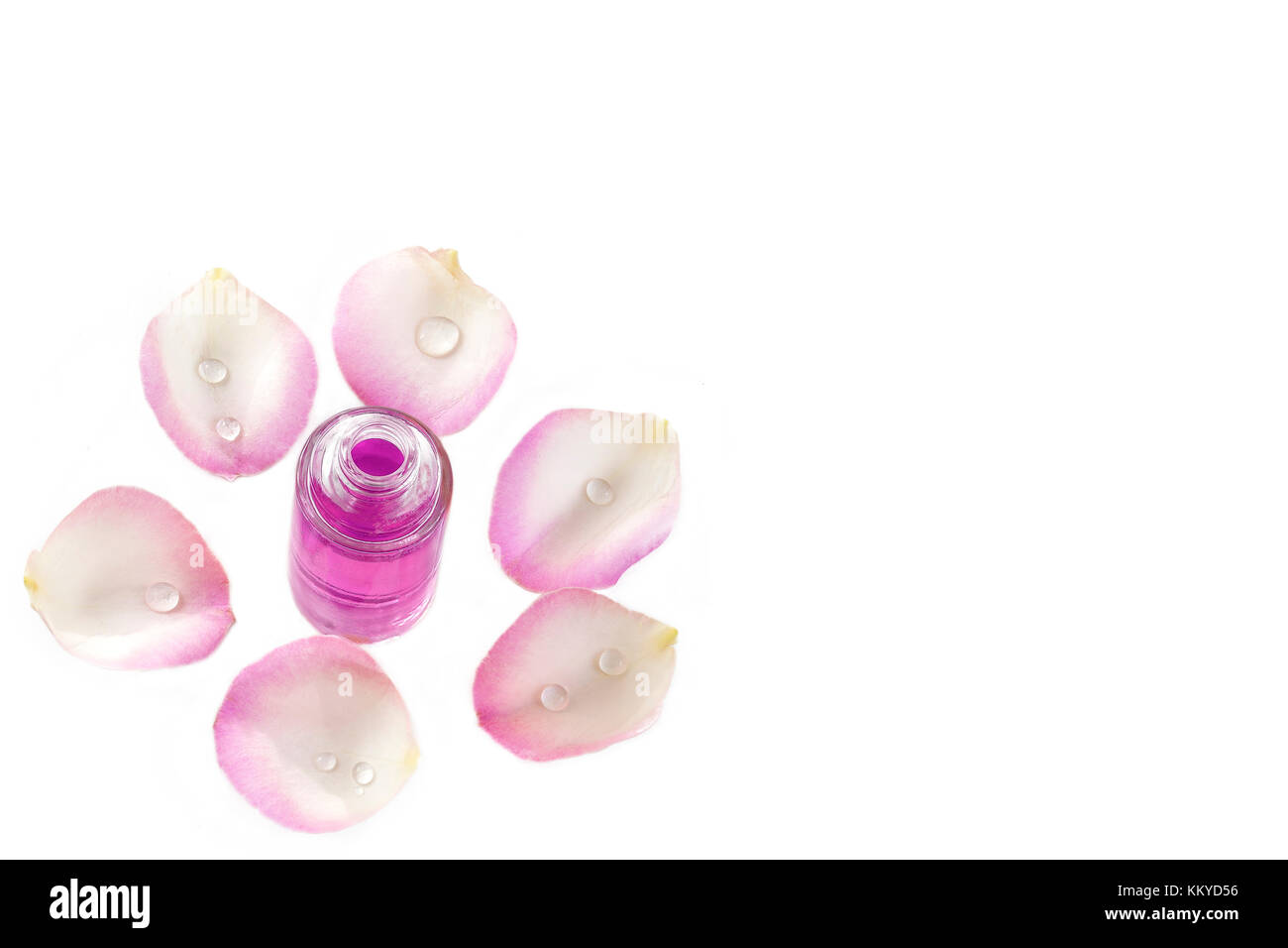 Una bottiglia di rosa olio essenziale con petali di rosa su sfondo bianco Foto Stock