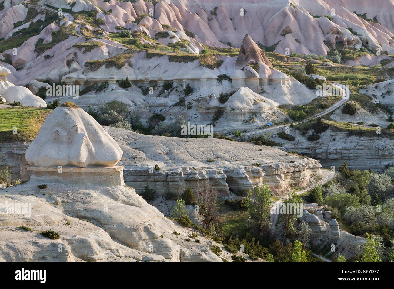 Paesaggio vulcanico con il tufo formazioni rocciose, in Cappadocia, Turchia. Foto Stock