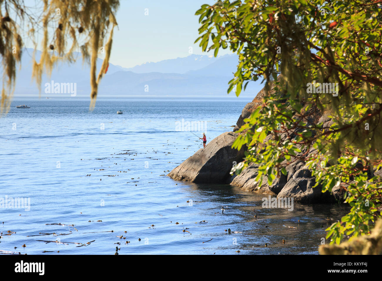 East sooke parco regionale, sooke, isola di Vancouver, British Columbia, cananda Foto Stock