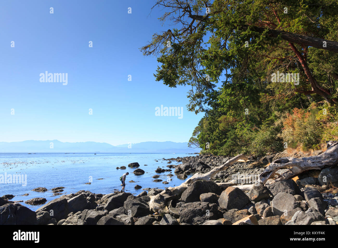 East sooke parco regionale e lo stretto di Juan de fuca, sooke, isola di Vancouver, British Columbia, cananda Foto Stock
