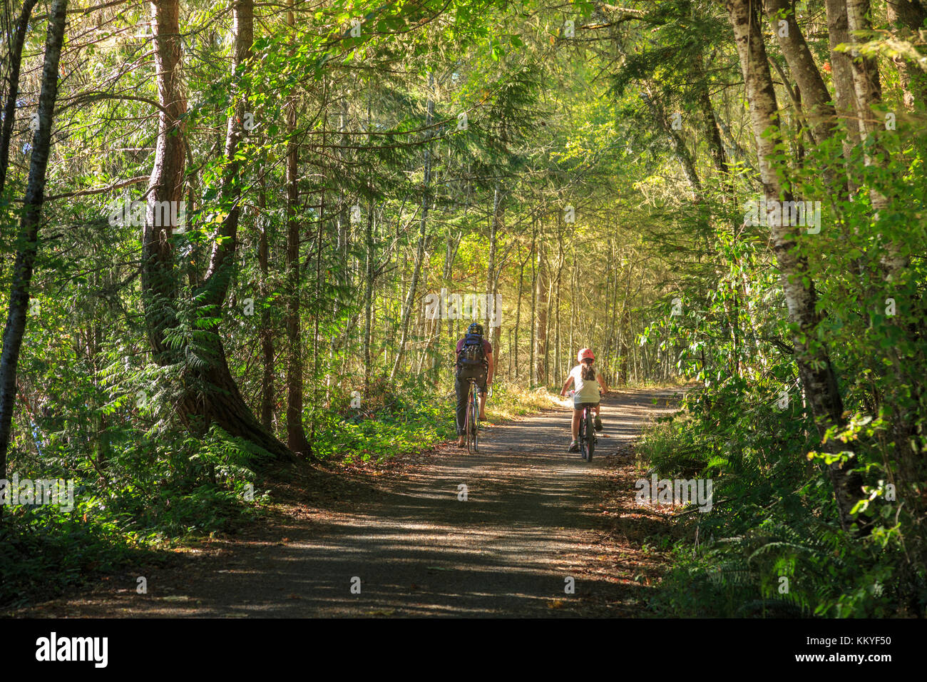 Oca galoppante sentiero regionale ( 55-chilometro) tra Victoria e leechtown, isola di Vancouver, British Columbia, Canada Foto Stock