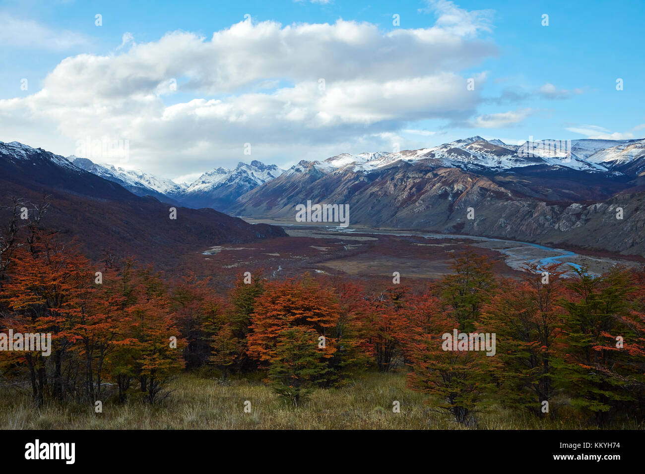 Lenga alberi in autunno e las vuelltas river, el chalten, Patagonia, Argentina, Sud America Foto Stock