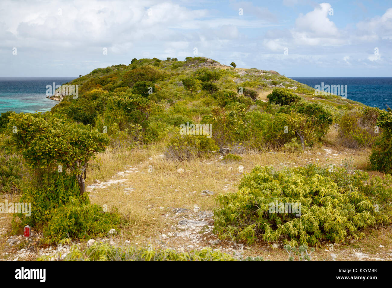 Bird Island che appartiene ad Antigua. Foto Stock