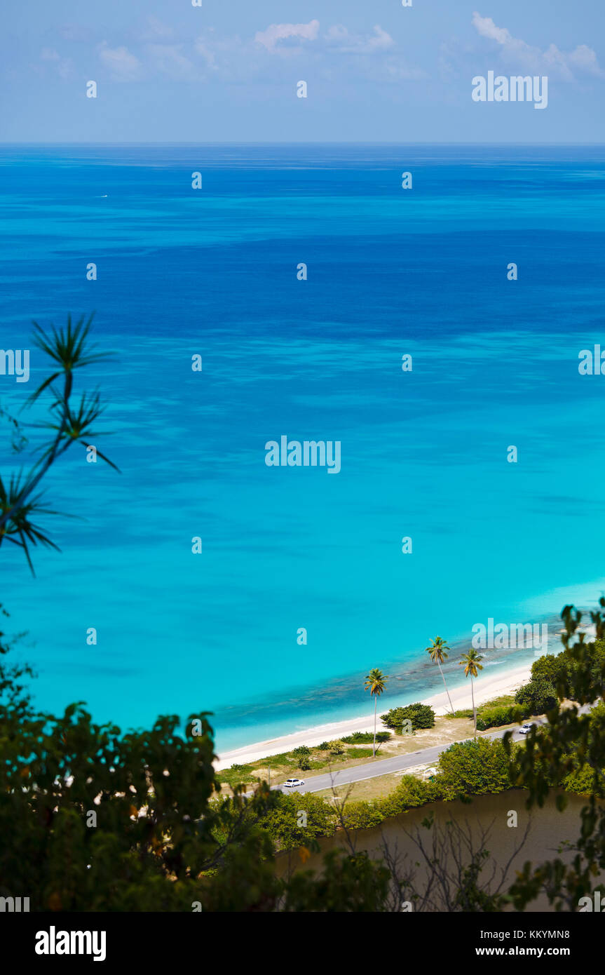Spiaggia di legno scuro con palme visto da un alto punto di osservazione in Antigua. Foto Stock