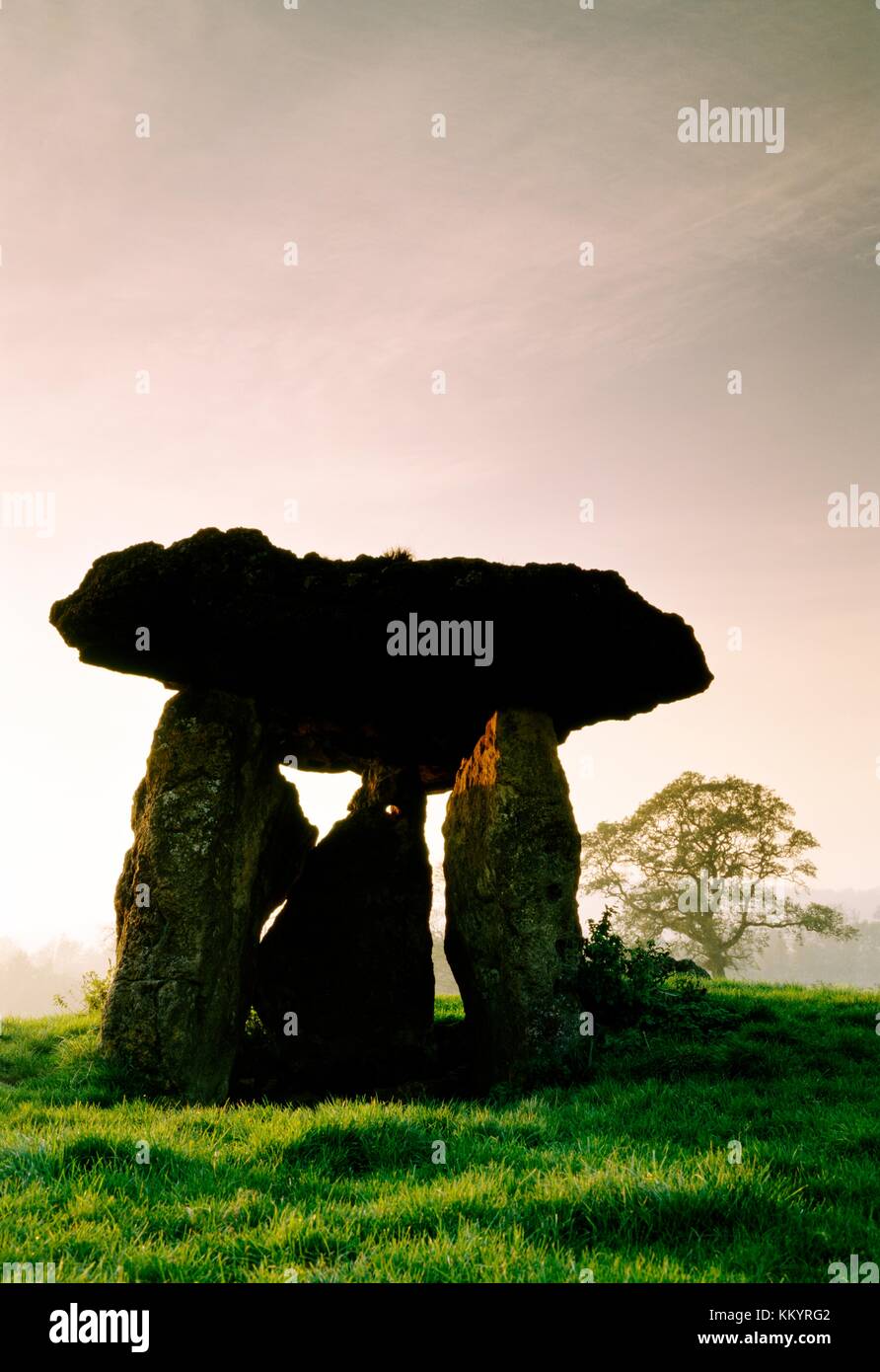 St lythans 6000 anni megalitici preistorici dolmen sepoltura camera neolitico Long Barrow. Glamorgan, Wales, Regno Unito Foto Stock