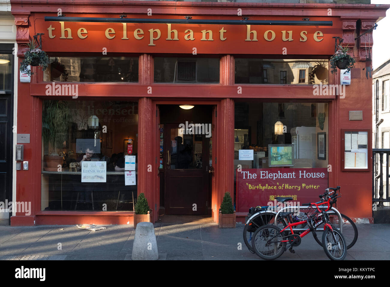 Elephant House cafe a Edimburgo in Scozia, Regno Unito. Foto Stock