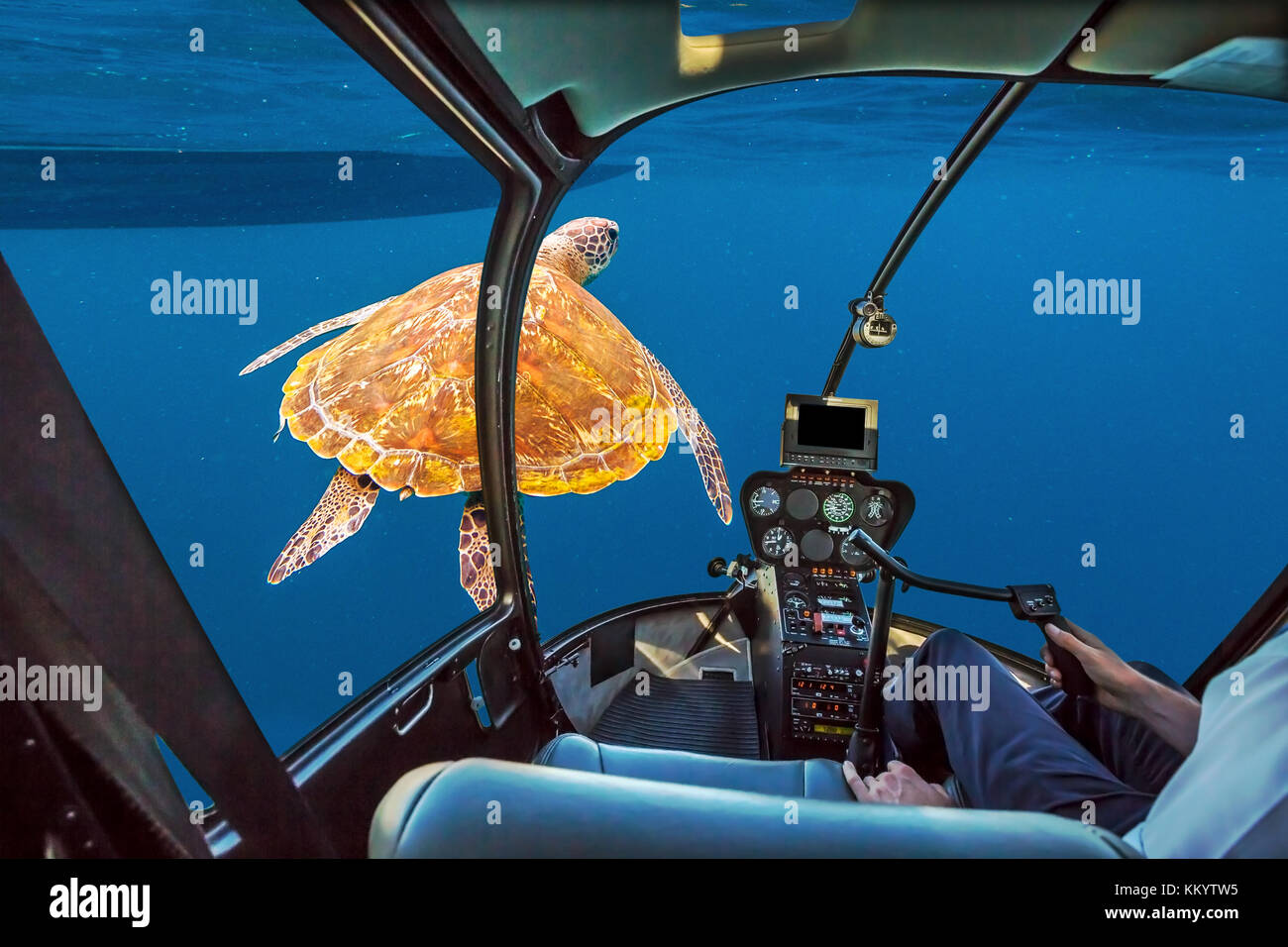 Sea Turtle sommergibile Foto Stock