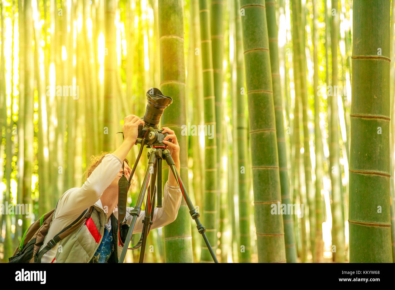 Prendere-dera fotografo di bambù Foto Stock