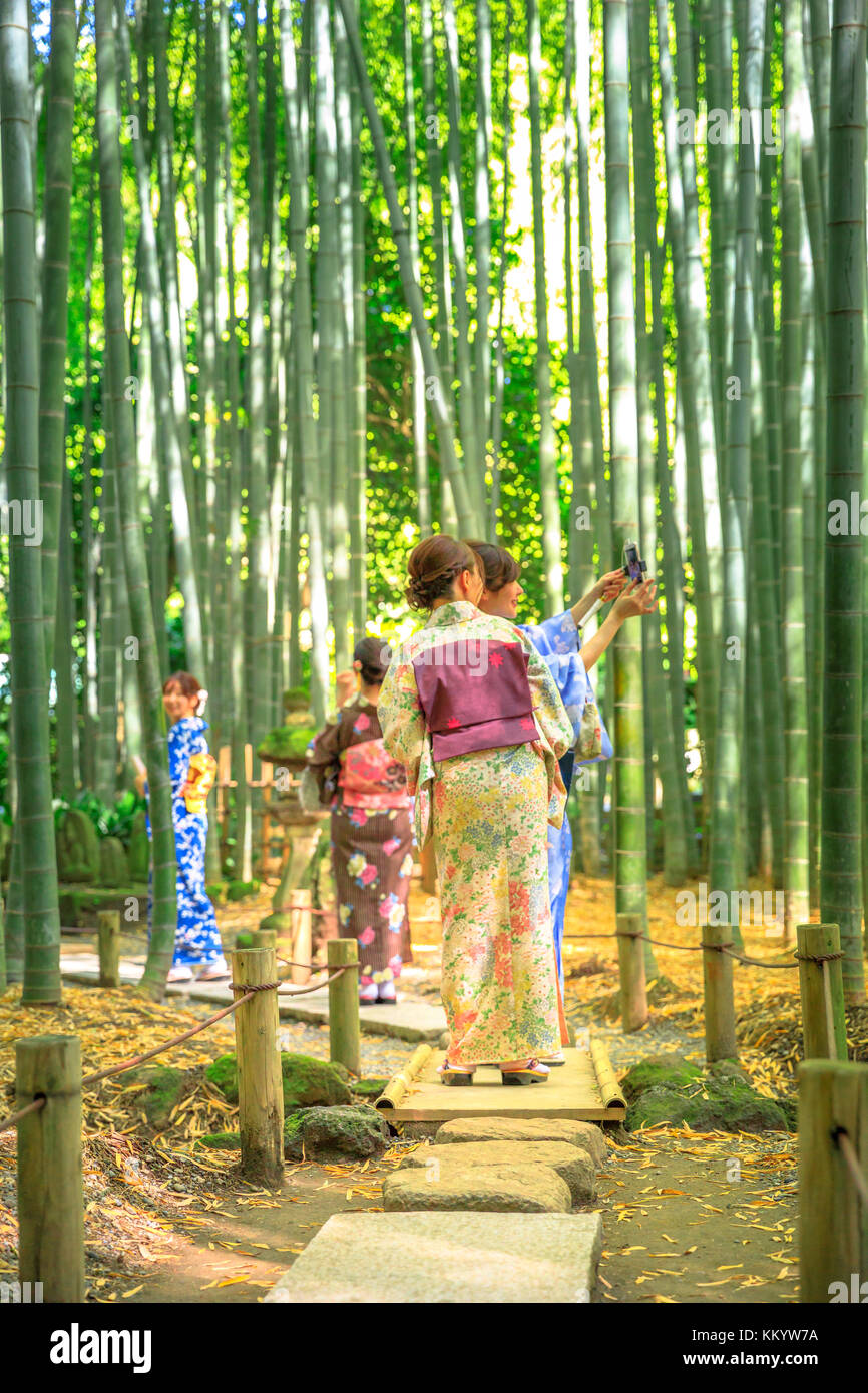 Donne kimono nella foresta di bambù Foto Stock
